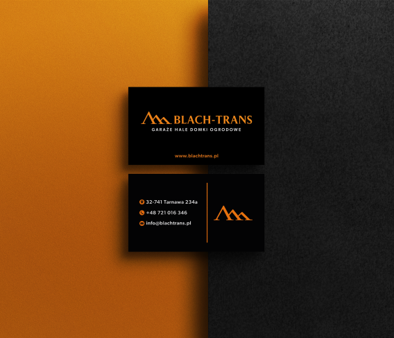 Wizualizacja wizytówki dla firmy Blach Trans